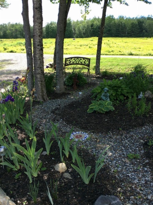 Blueberry Fields Bed & Breakfast image 11