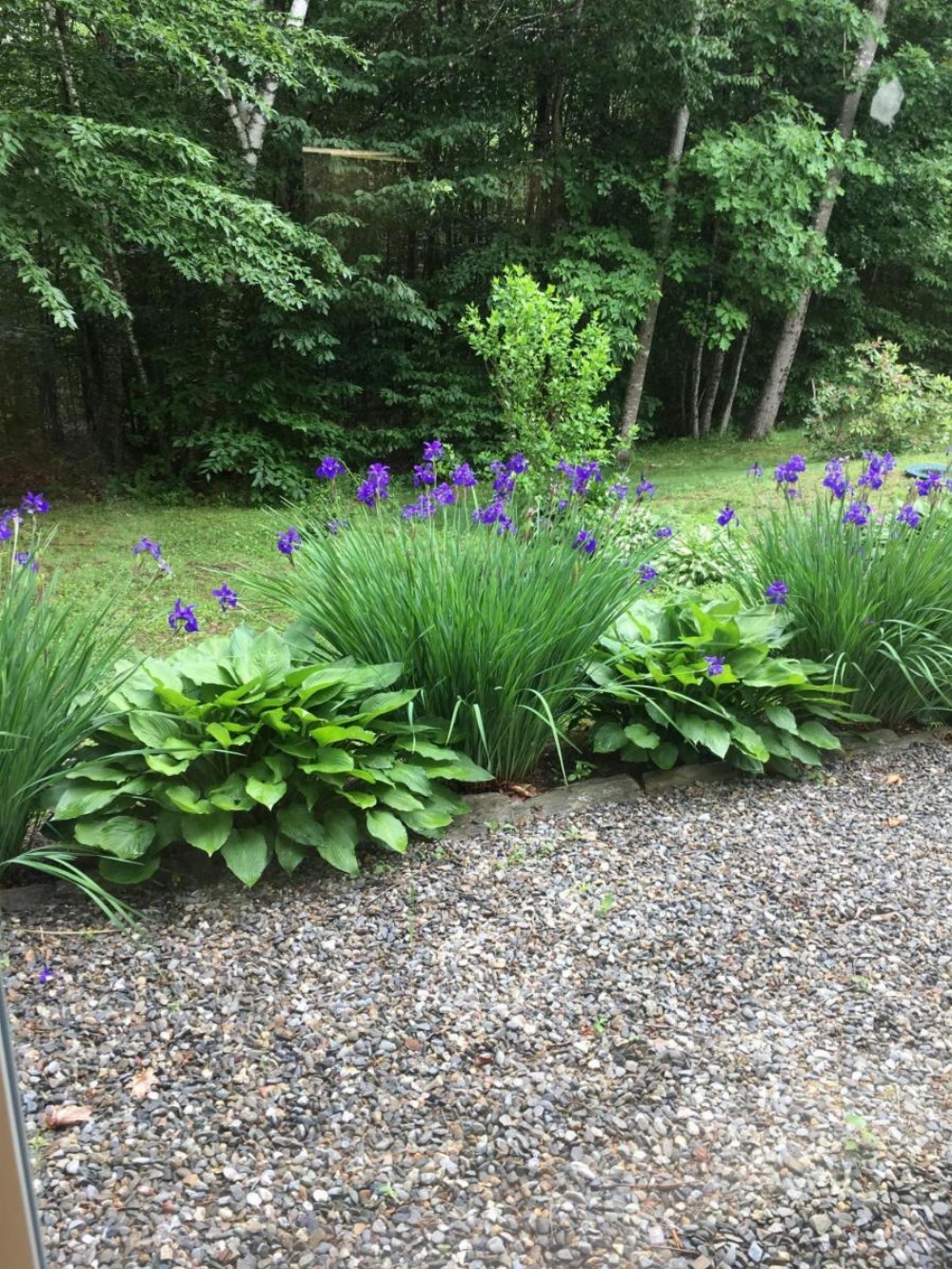 Blueberry Fields Bed & Breakfast